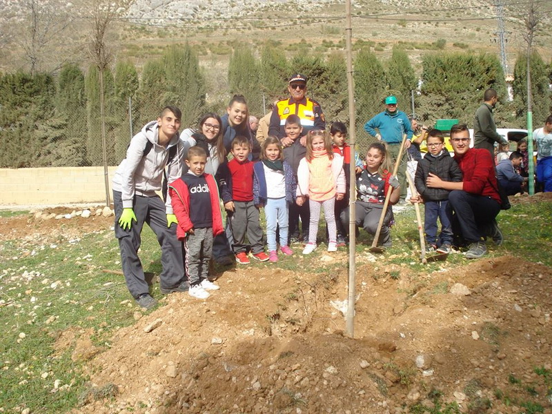 Revegetación del Portillo y Arena