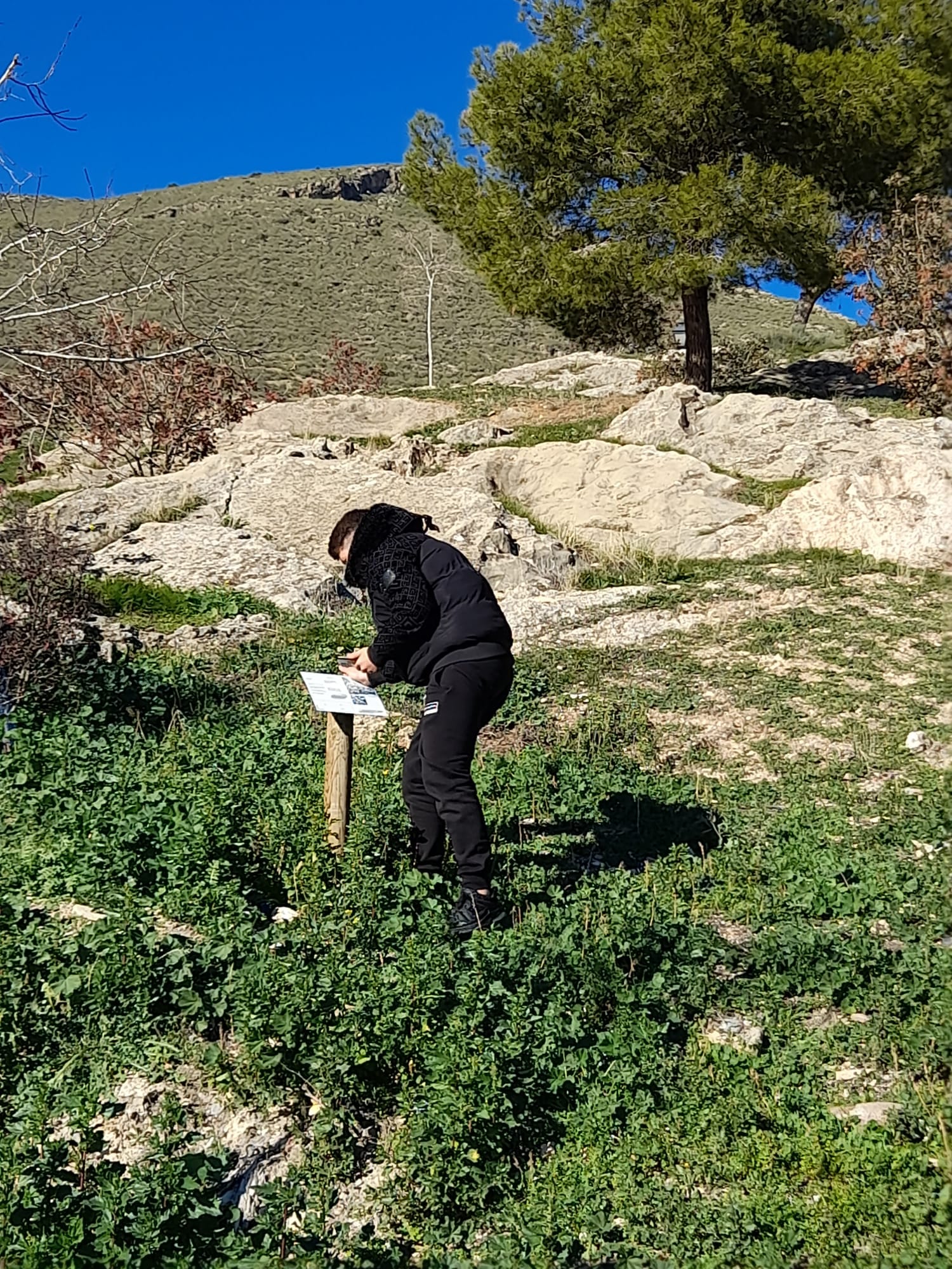 Ruta por la Senda Botánica Trascastillo de Jódar