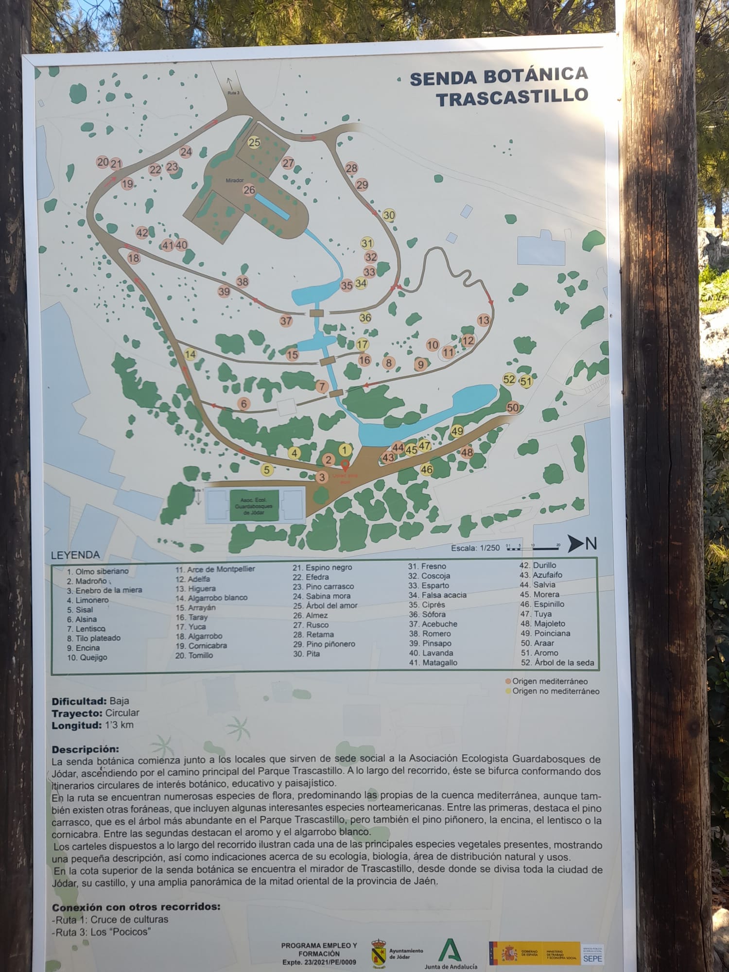 Ruta por la Senda Botánica Trascastillo de Jódar