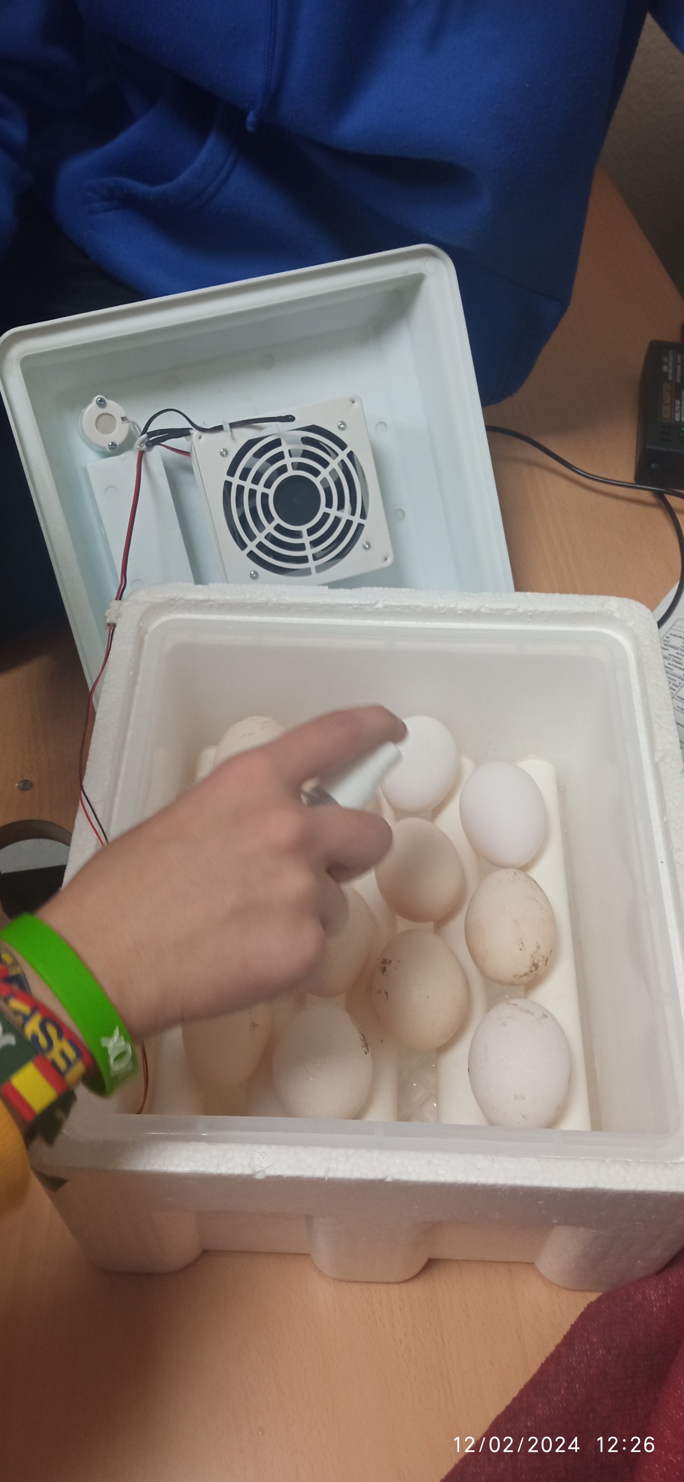 Incubación Artificial Producción Agroecolóica