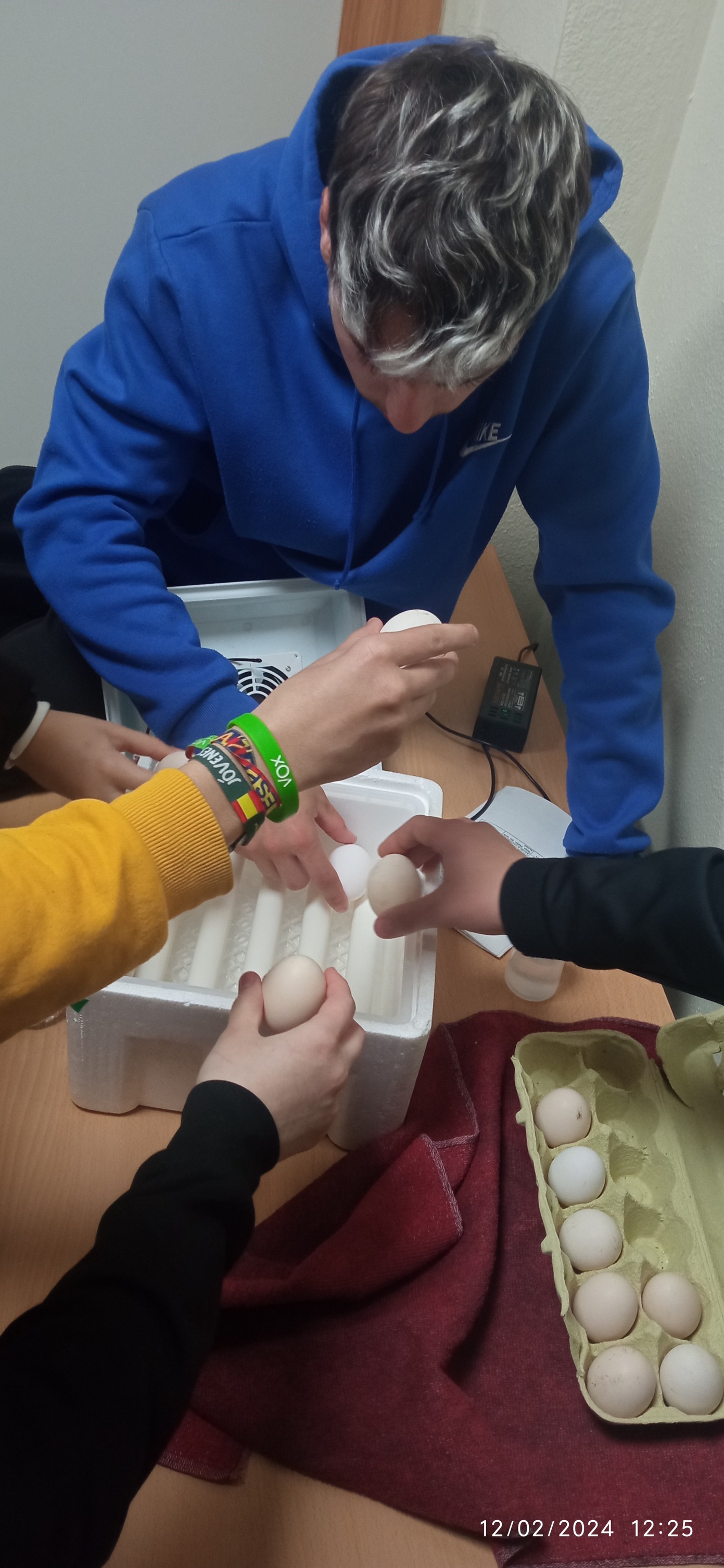 Incubación Artificial Producción Agroecolóica