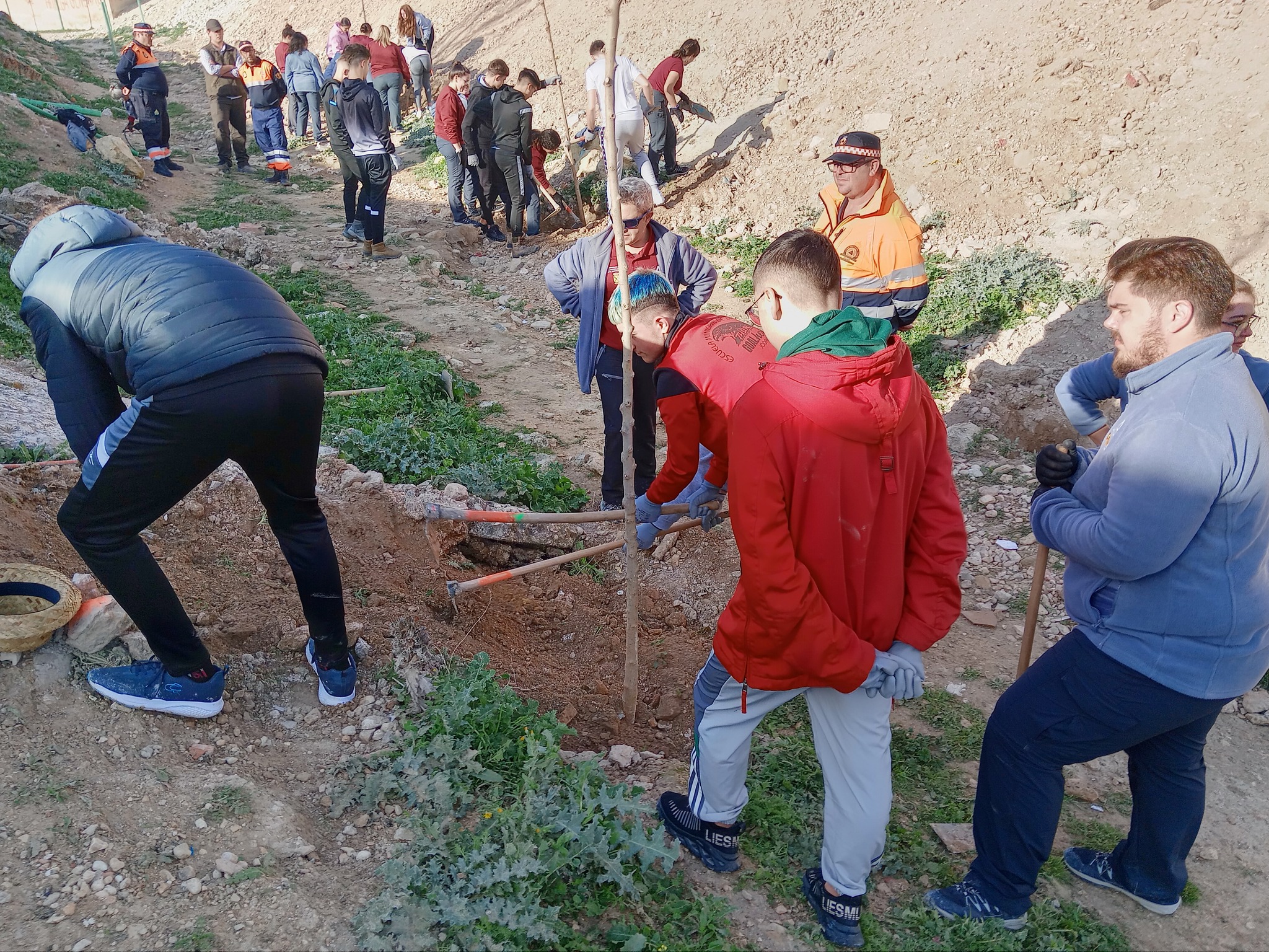 Reforestación Corredor Verde