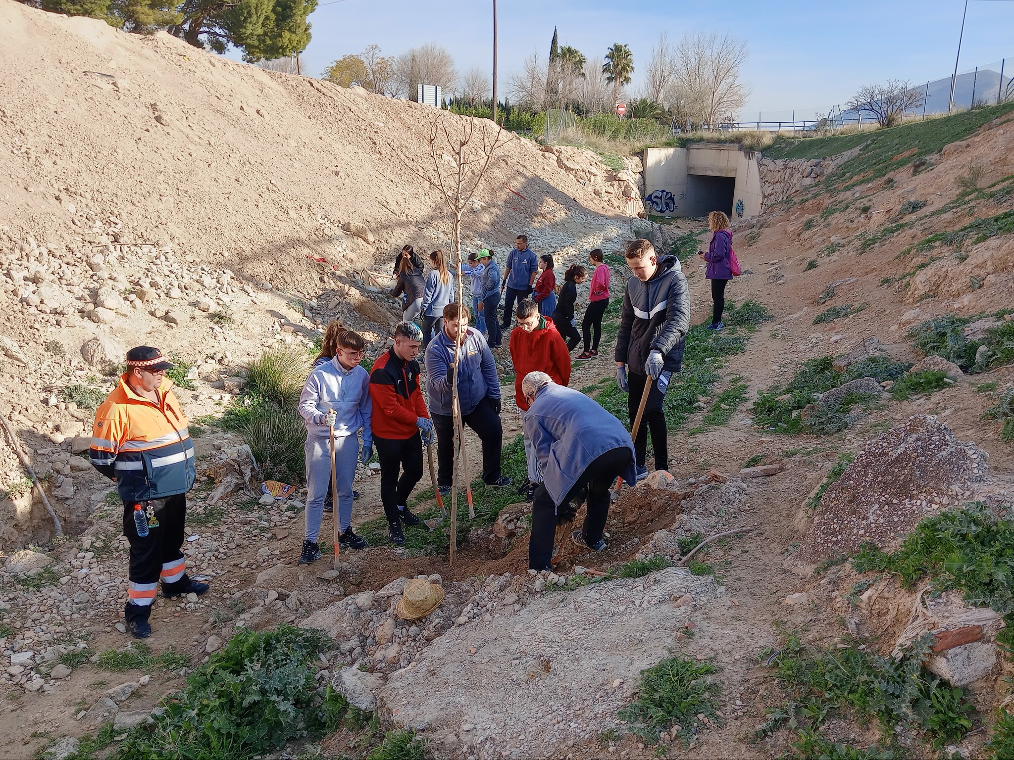 Reforestación Corredor Verde