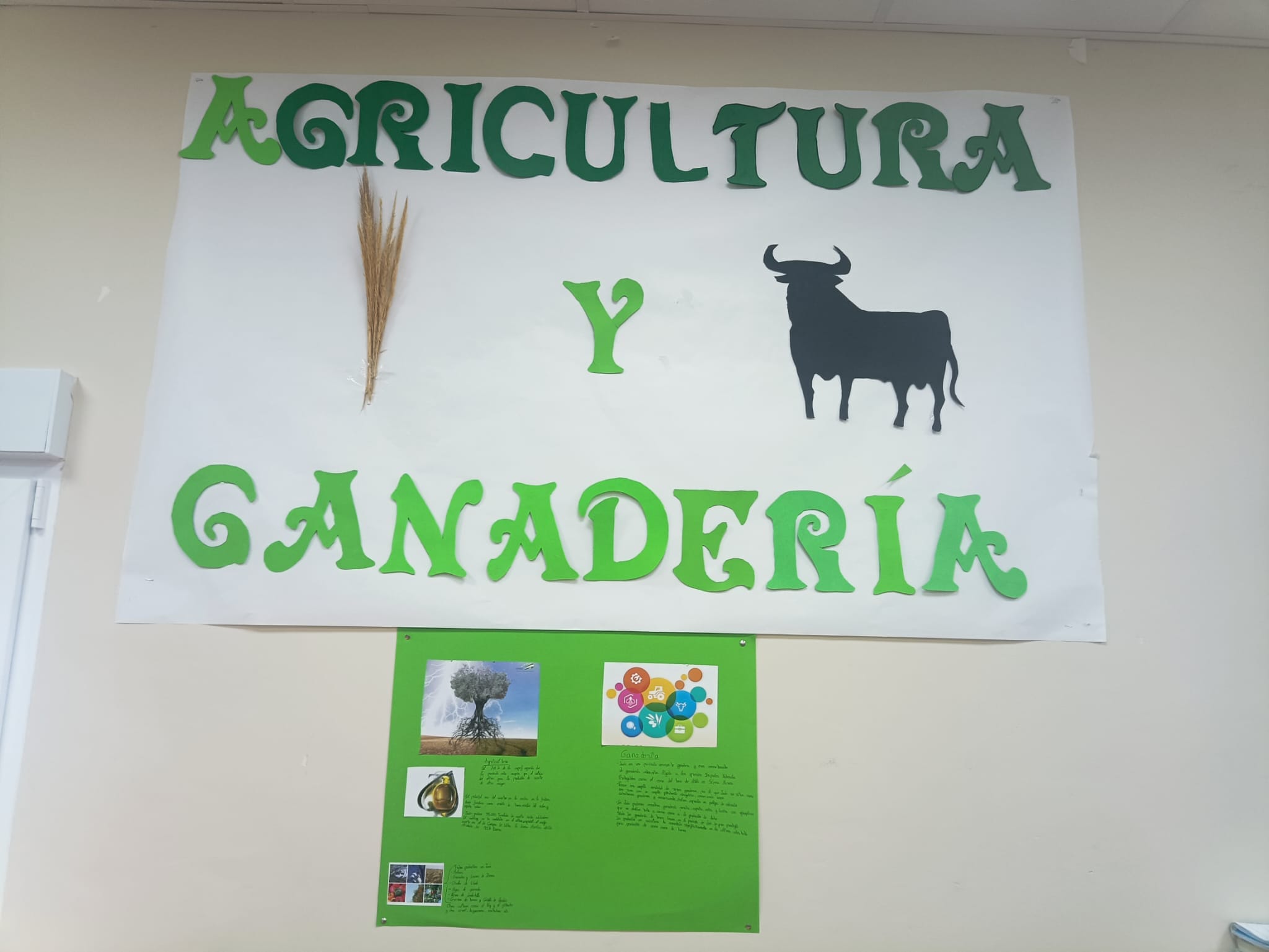Proyecto Andalucía