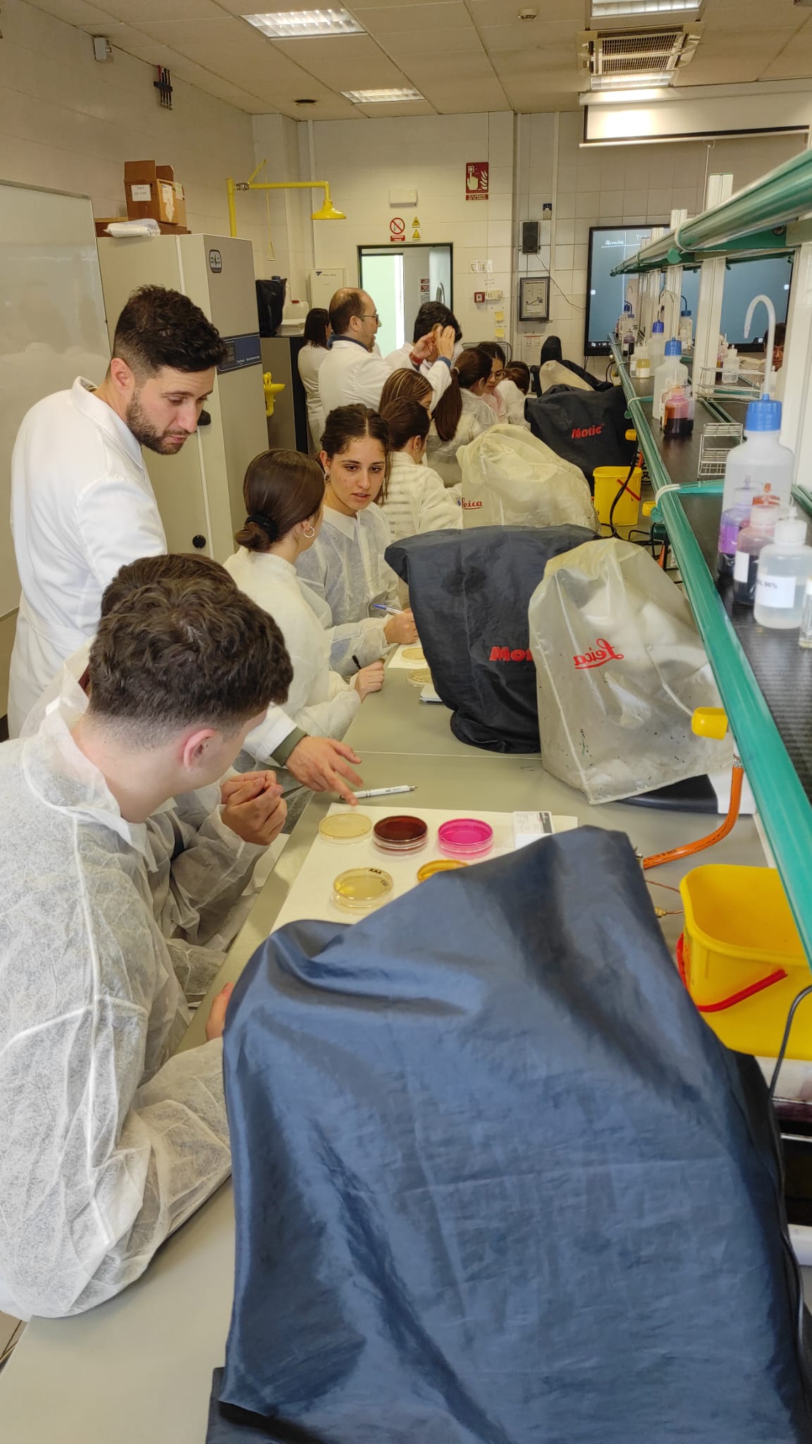 Mundo Microbiológico de los Alimentos