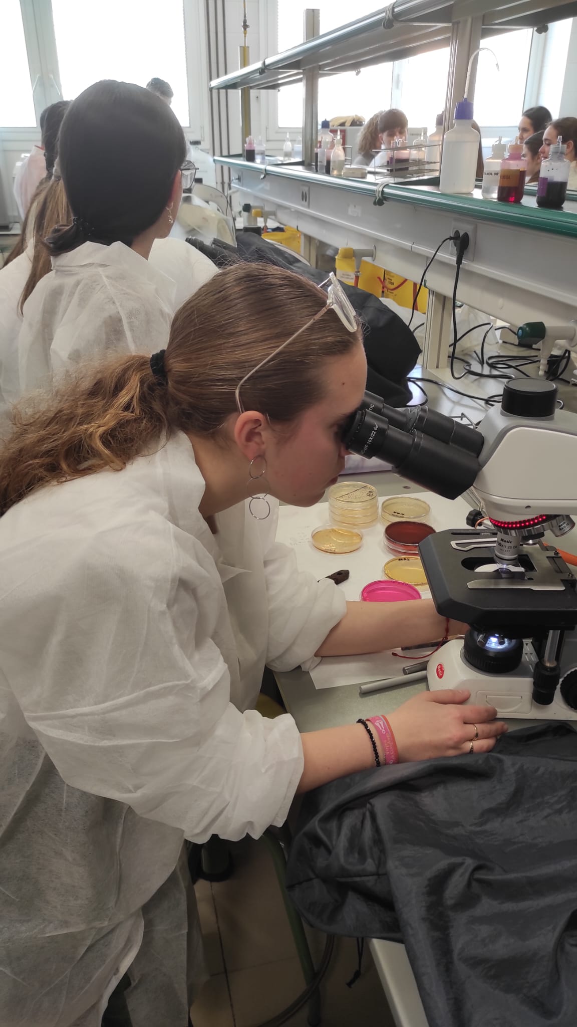 Mundo Microbiológico de los Alimentos