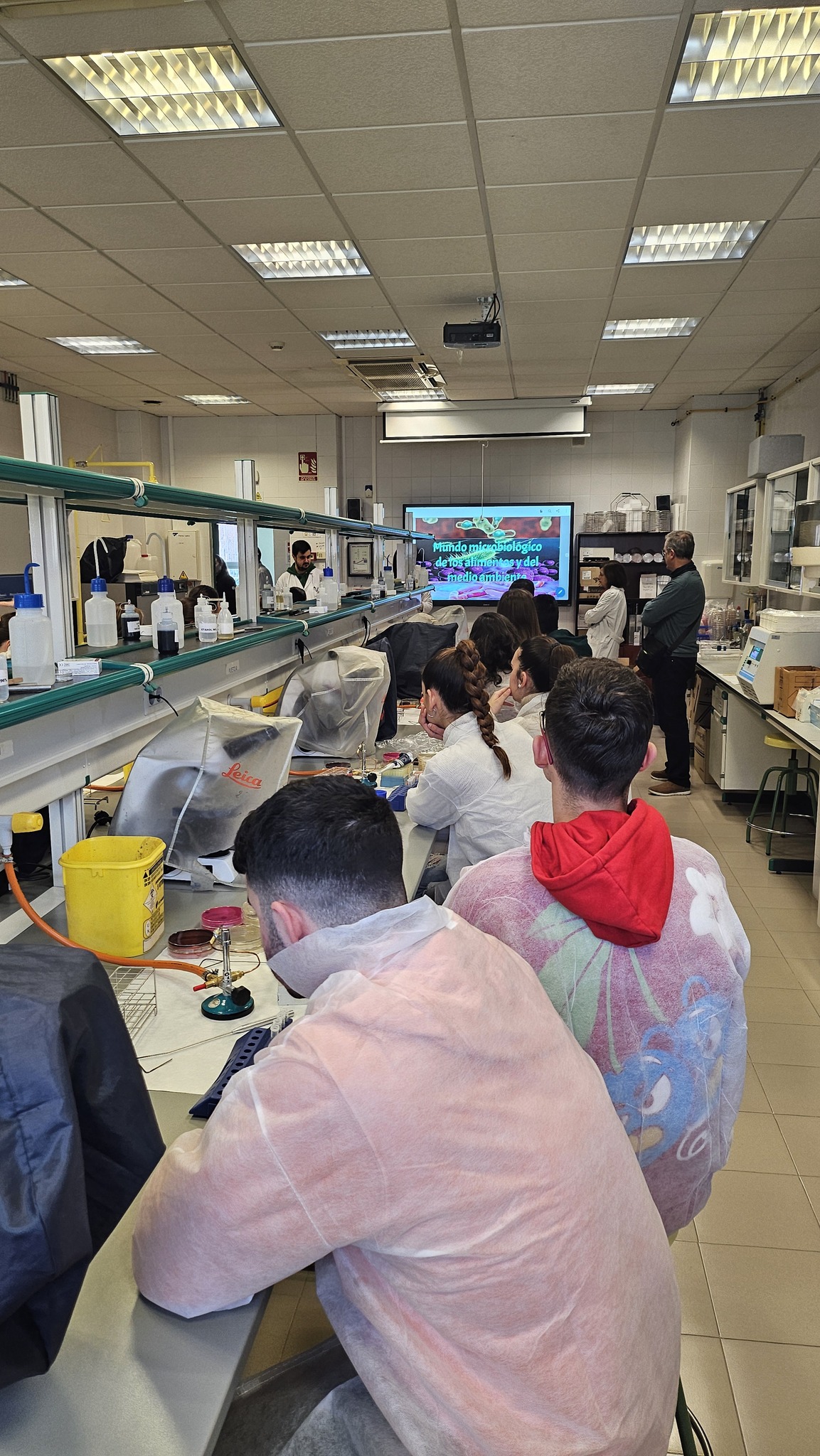 Mundo Microbiológico de los Alimentos