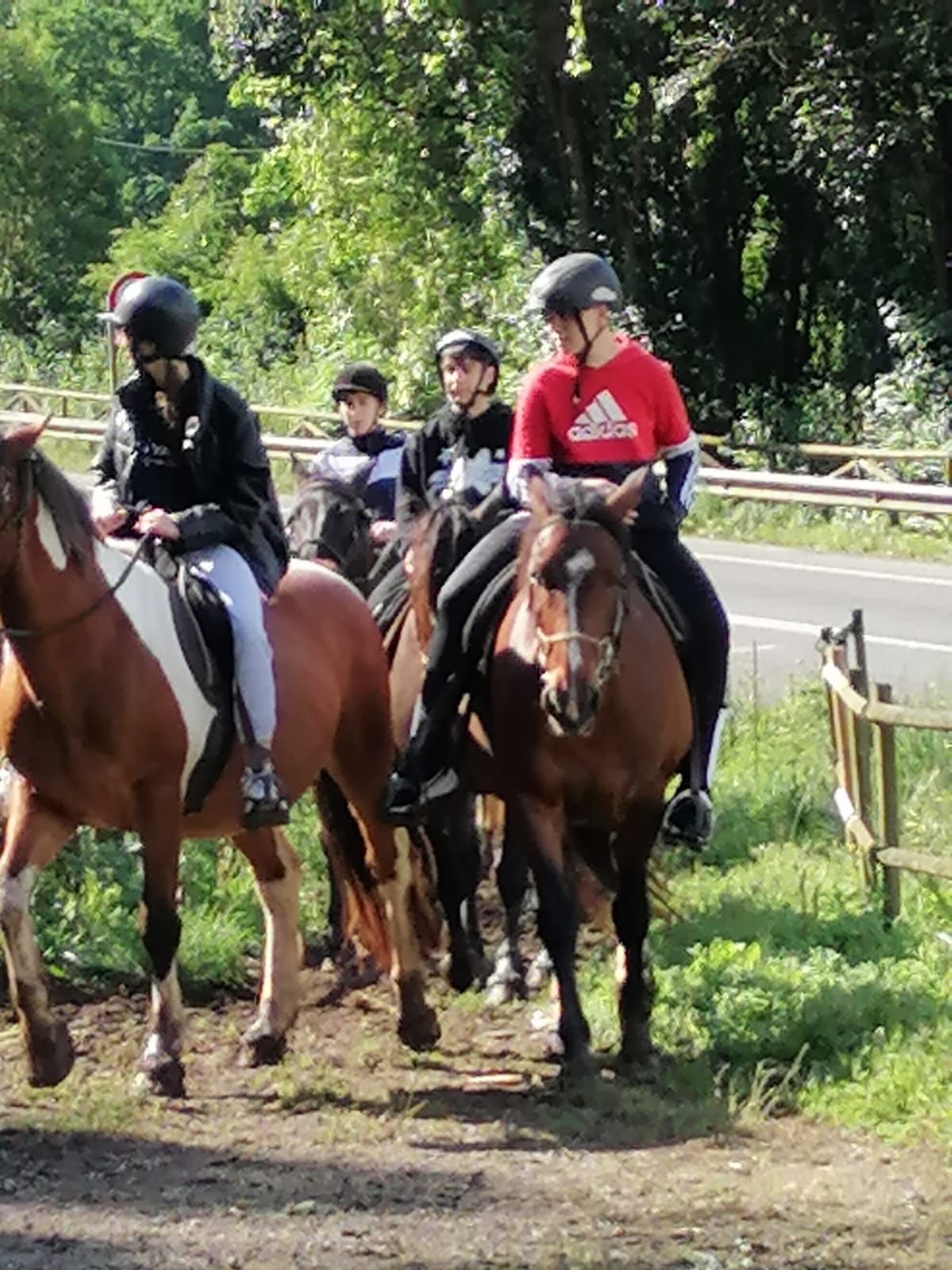 Viaje Fin de Estudios 23/24