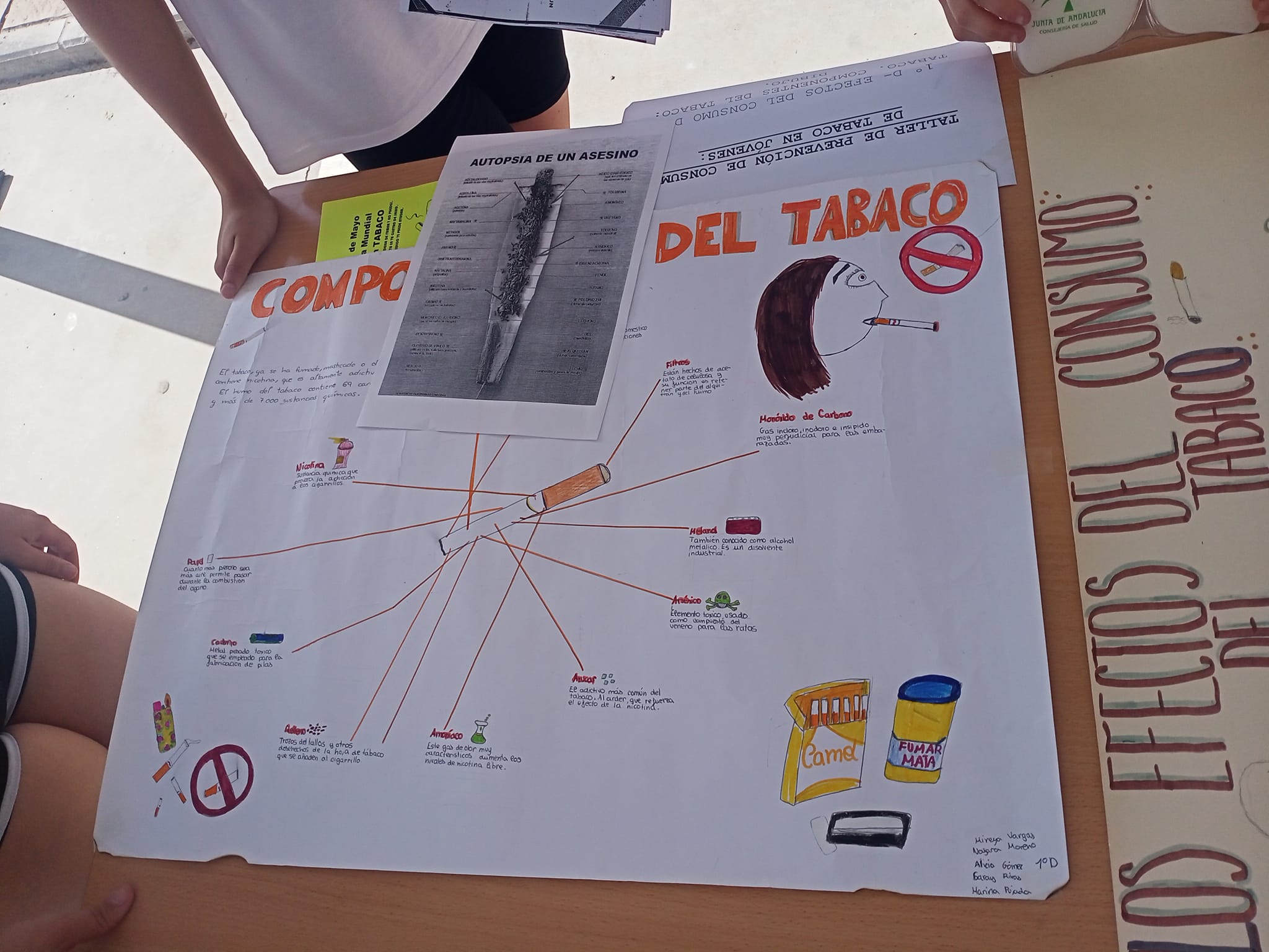 Dia Mundial sin Tabaco