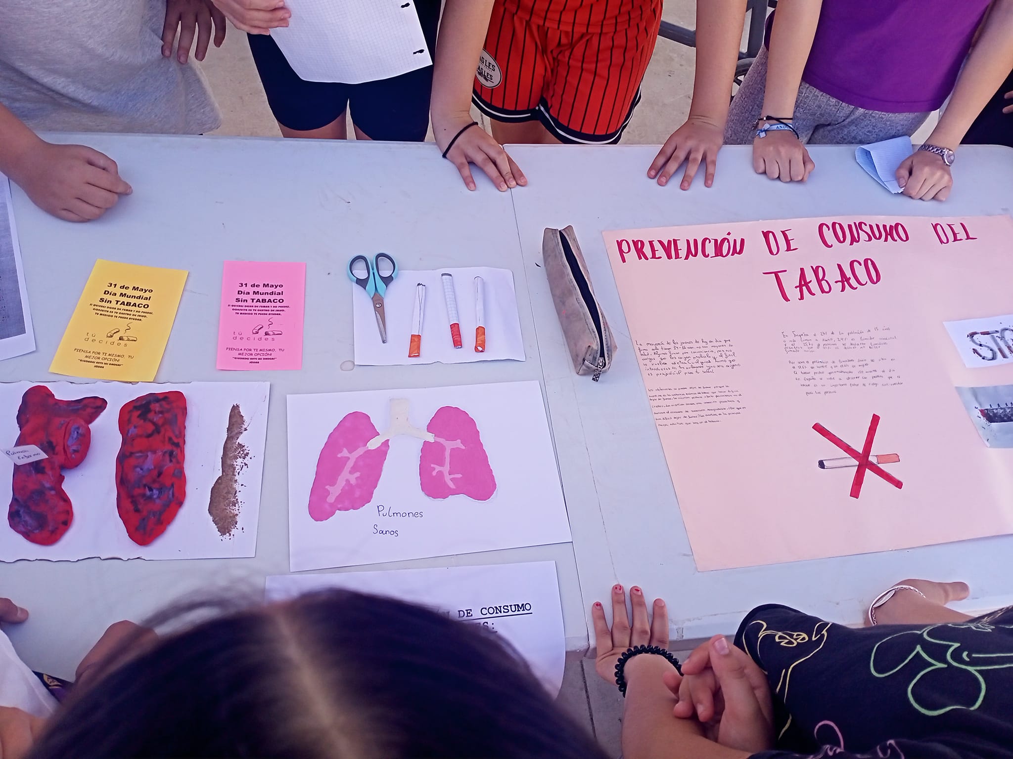 Dia Mundial sin Tabaco