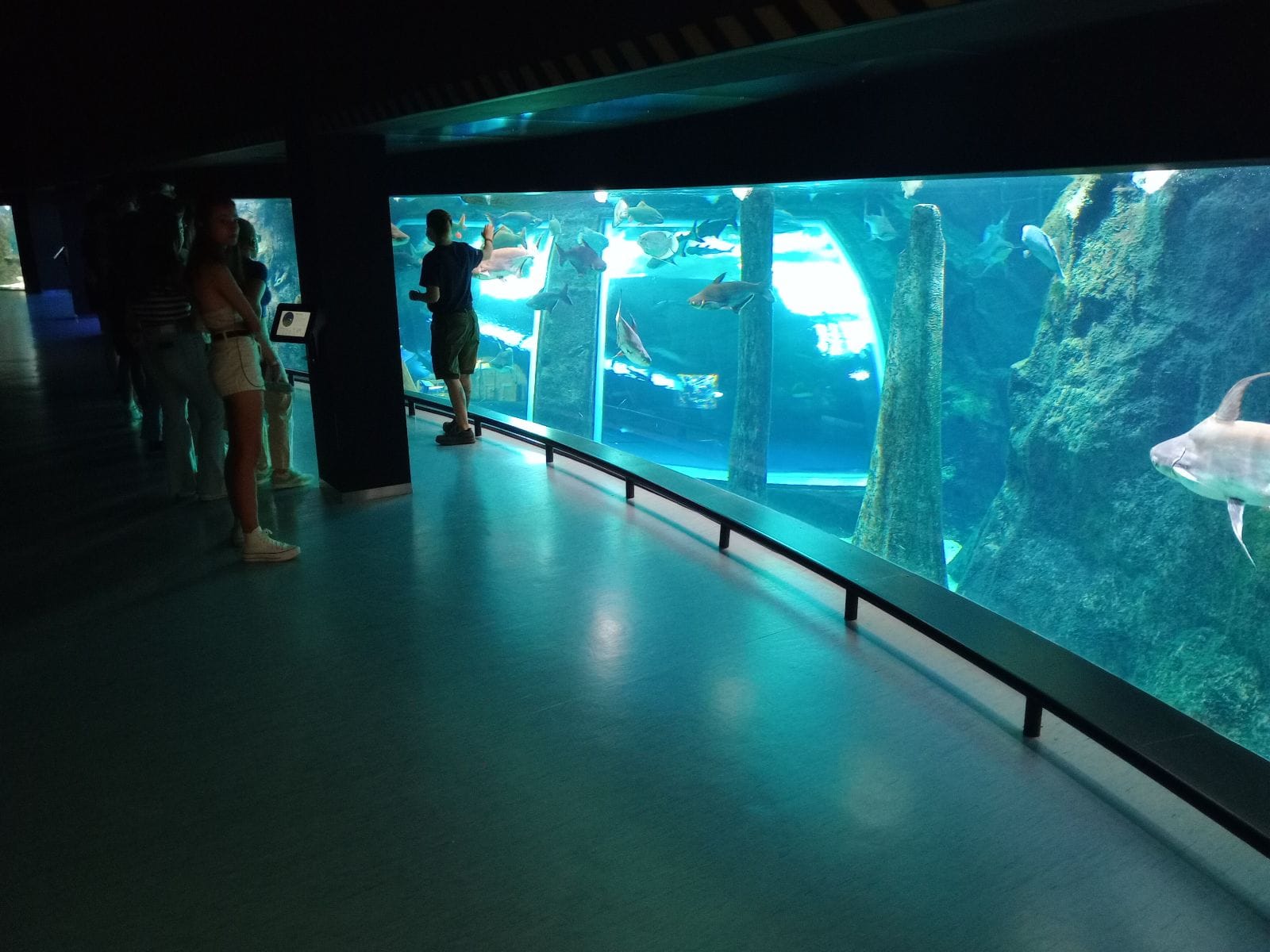 Visita al Parque de las Ciencias de Granada