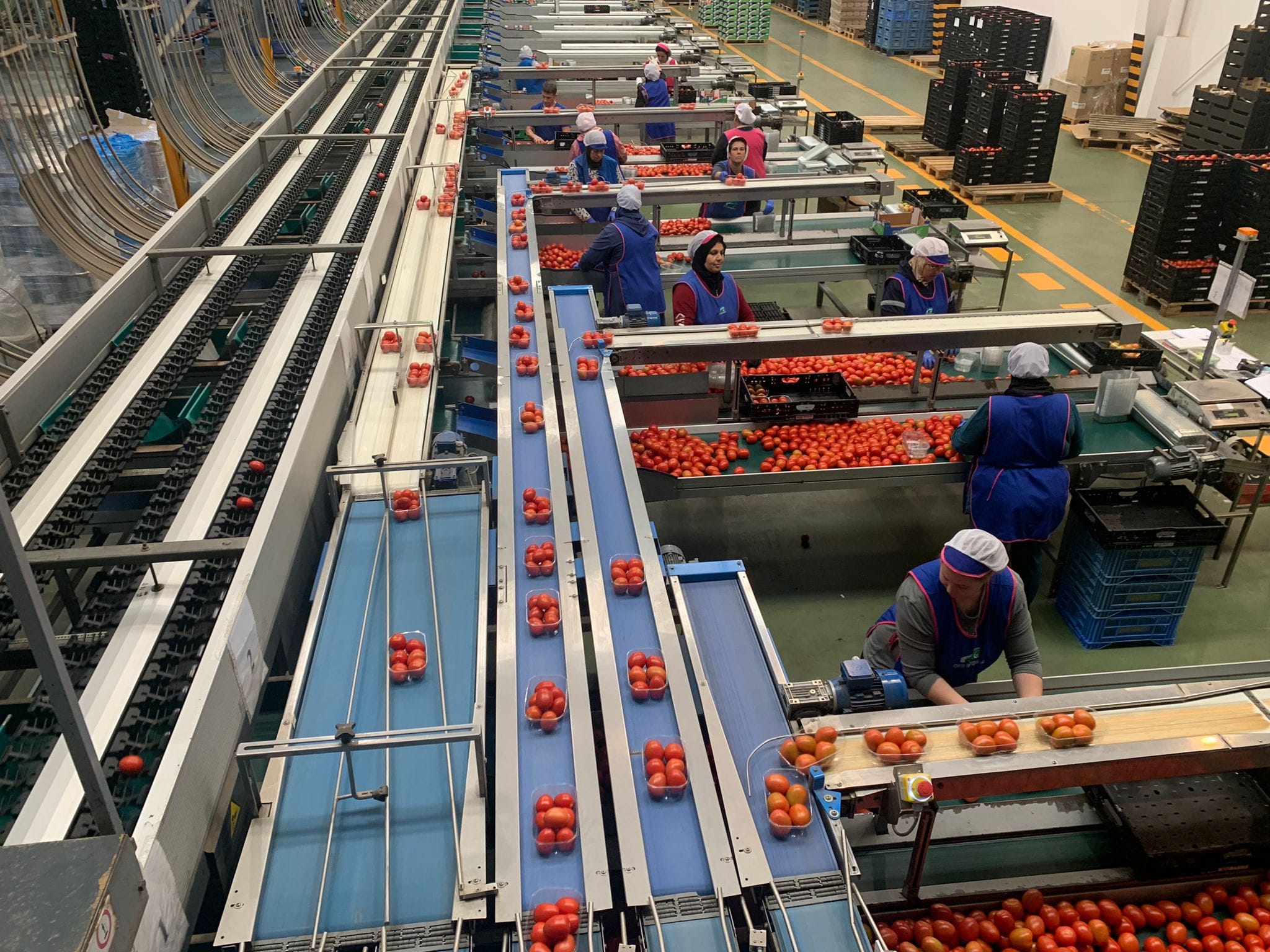 Visita Explotación Agroecológica y SAT Costa de Níjar