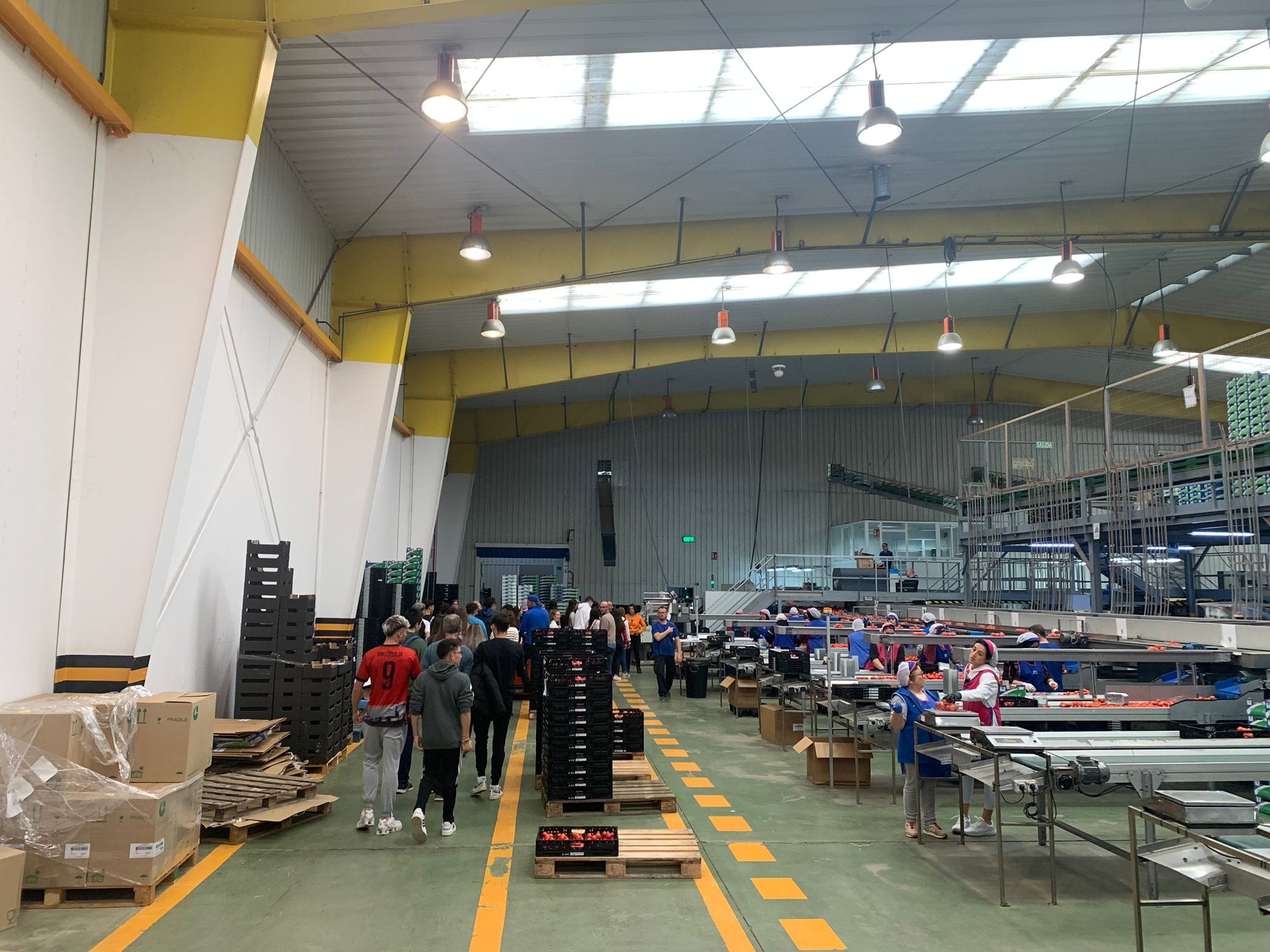 Visita Explotación Agroecológica y SAT Costa de Níjar