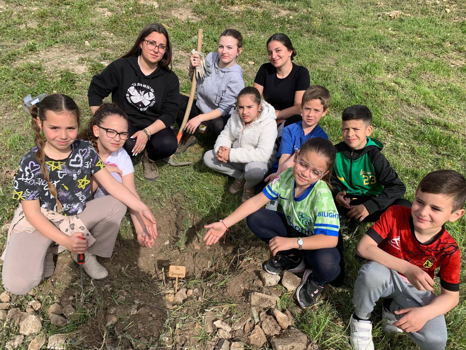 Plantación de Pinos en Trascastillo