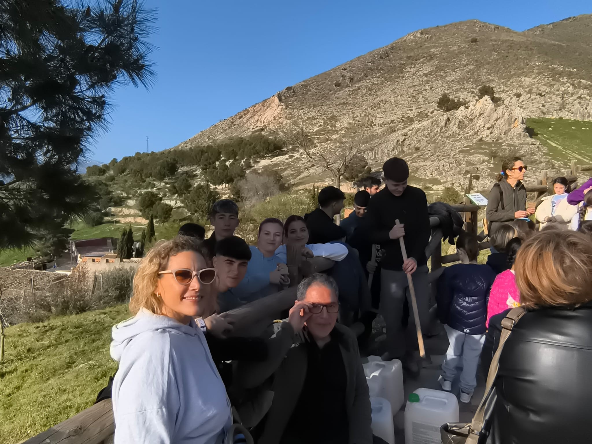Plantación de Pinos en Trascastillo