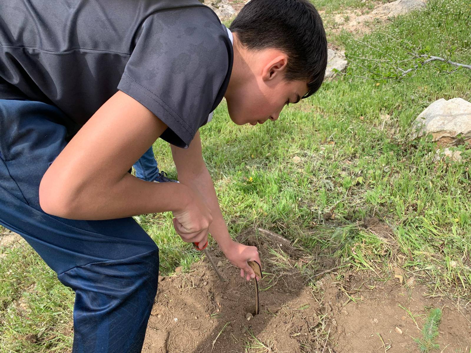 Plantación de Pinos en Trascastillo