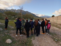 Proyecto Restauración Vegetal